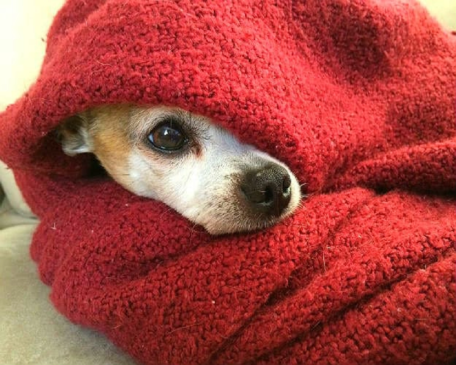 keeping the home warm for the family